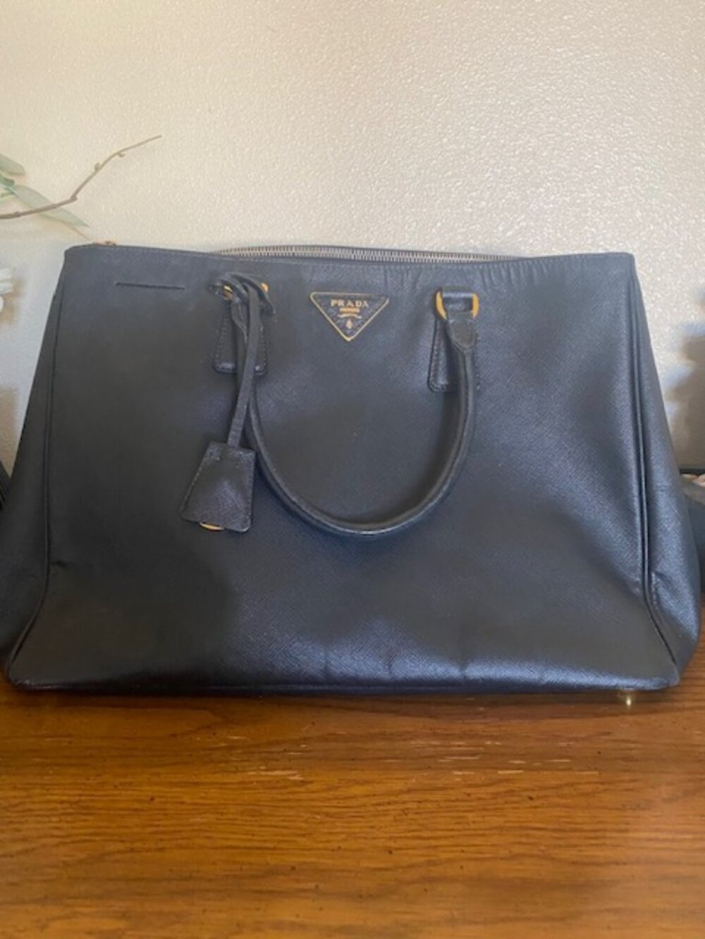 Prada bag (large)